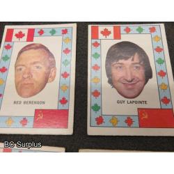 Q-15: 1972 Canada Russia Series Hockey Cards – PLUS Extra