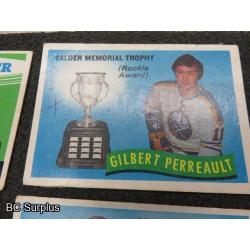 Q-15: 1972 Canada Russia Series Hockey Cards – PLUS Extra