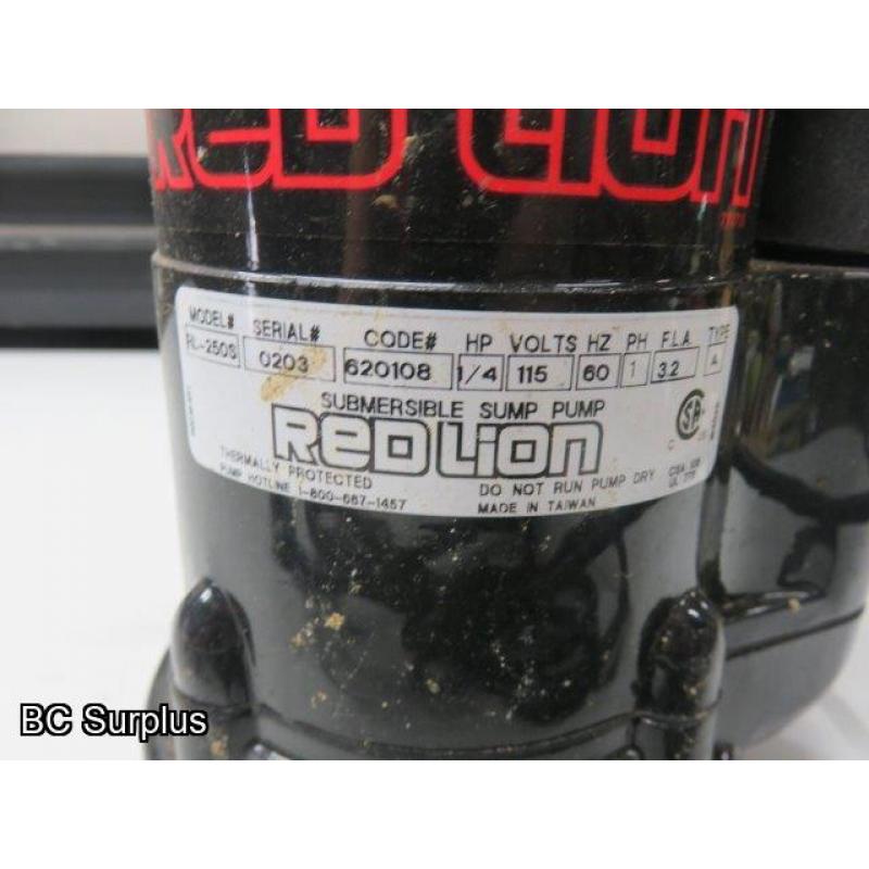 Q-119: Red Lion Submersible Pump with Float Switch