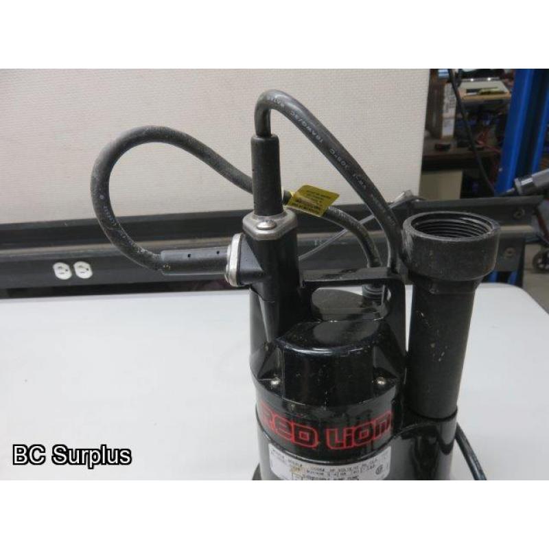 Q-119: Red Lion Submersible Pump with Float Switch