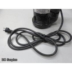 Q-119: Red Lion Submersible Pump with Float Switch