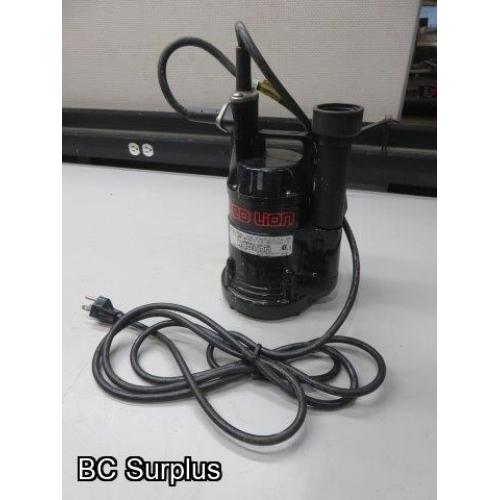 Q-119: Red Lion Submersible Pump with Float Switch