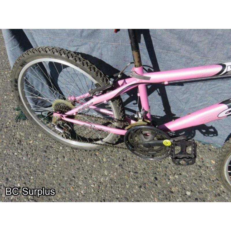 Q-253: Oryx Women's 21-Speed Mountain Bike