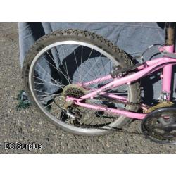 Q-253: Oryx Women's 21-Speed Mountain Bike