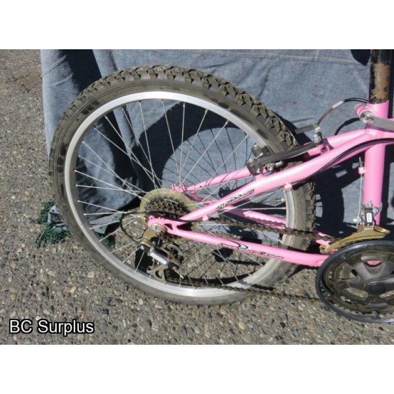 Q-253: Oryx Women's 21-Speed Mountain Bike