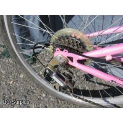 Q-253: Oryx Women's 21-Speed Mountain Bike