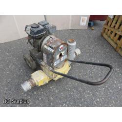 Q-435: Wacker Neuson PDT3A Diaphram  Pump