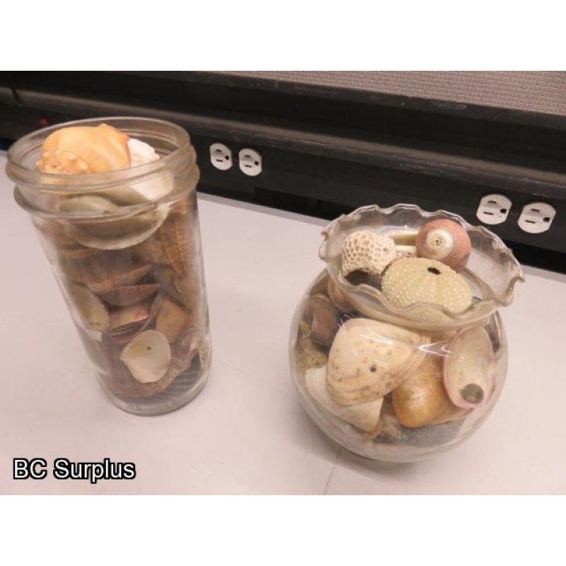 Q-504: Sea Shells; Rocks; Coral – 1 Lot