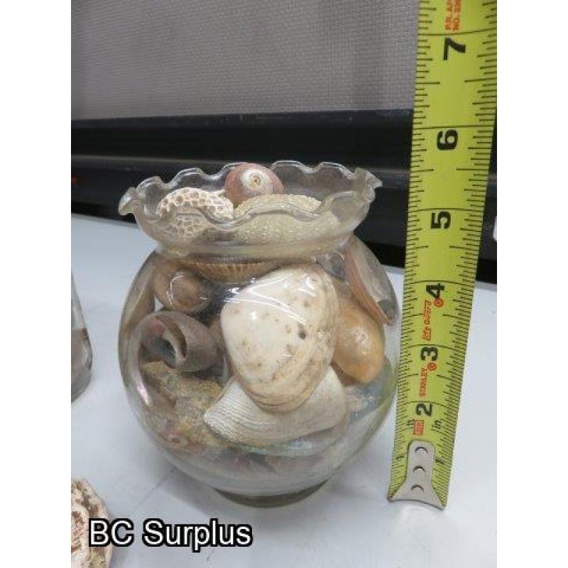 Q-504: Sea Shells; Rocks; Coral – 1 Lot