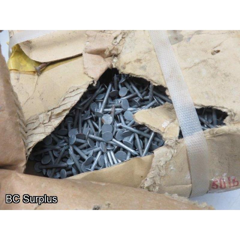 Q-523: Titan Galvanized 11G Roofing Nails – 1 Case