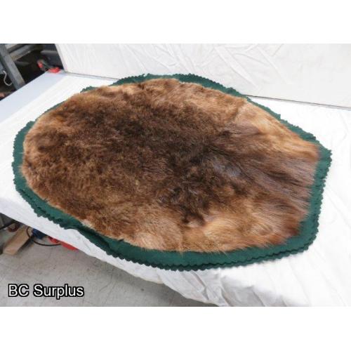 R-167: Beaver Pelt on Felt