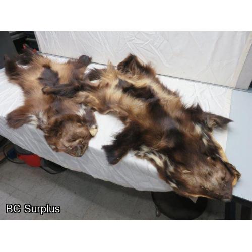 R-246: Wolverine Pelt – 2 Items