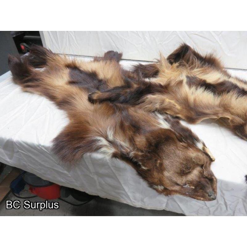 R-246: Wolverine Pelt – 2 Items