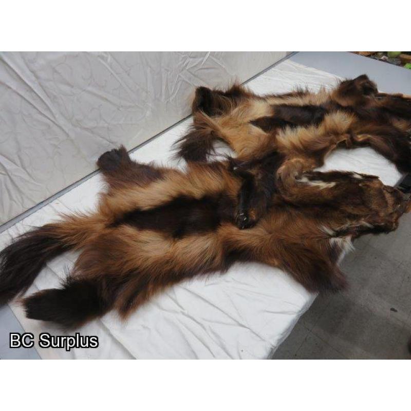 R-246: Wolverine Pelt – 2 Items