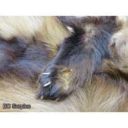 R-246: Wolverine Pelt – 2 Items