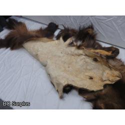 R-246: Wolverine Pelt – 2 Items