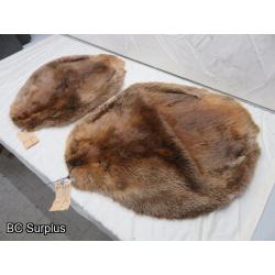 R-247: Beaver Pelts – 2 Items