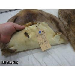 R-247: Beaver Pelts – 2 Items