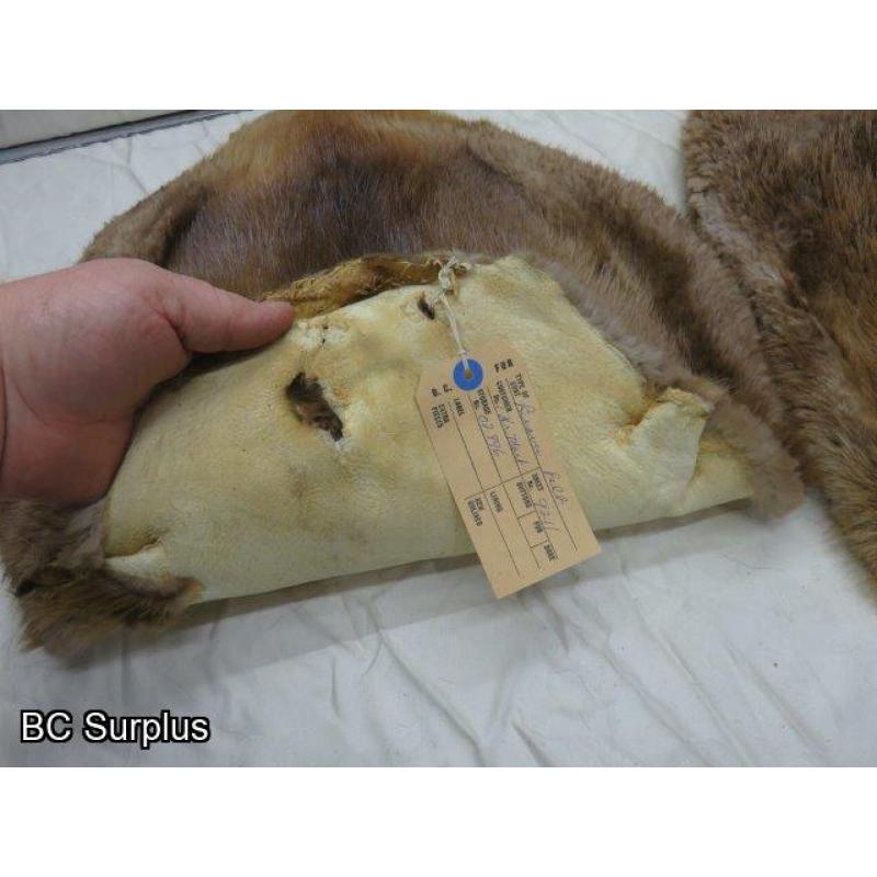 R-247: Beaver Pelts – 2 Items