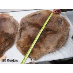 R-247: Beaver Pelts – 2 Items