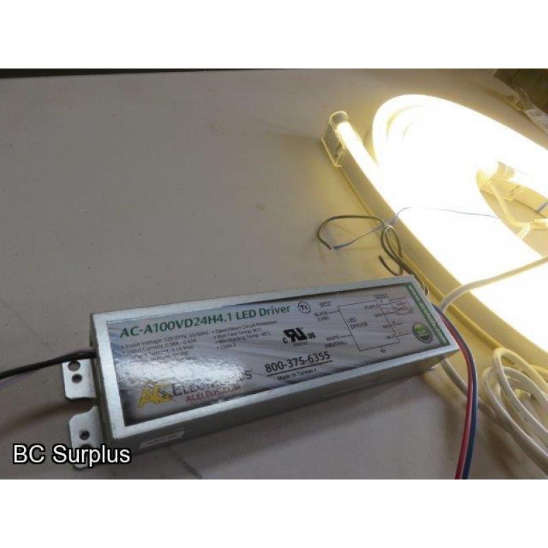 R-617: White Neon Strip Lights with Power Supply – 24ft