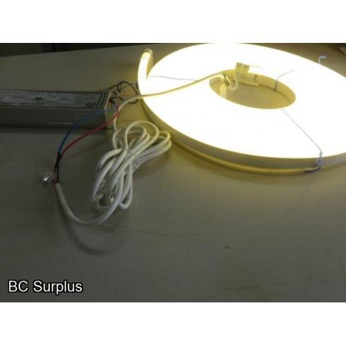 R-617: White Neon Strip Lights with Power Supply – 24ft