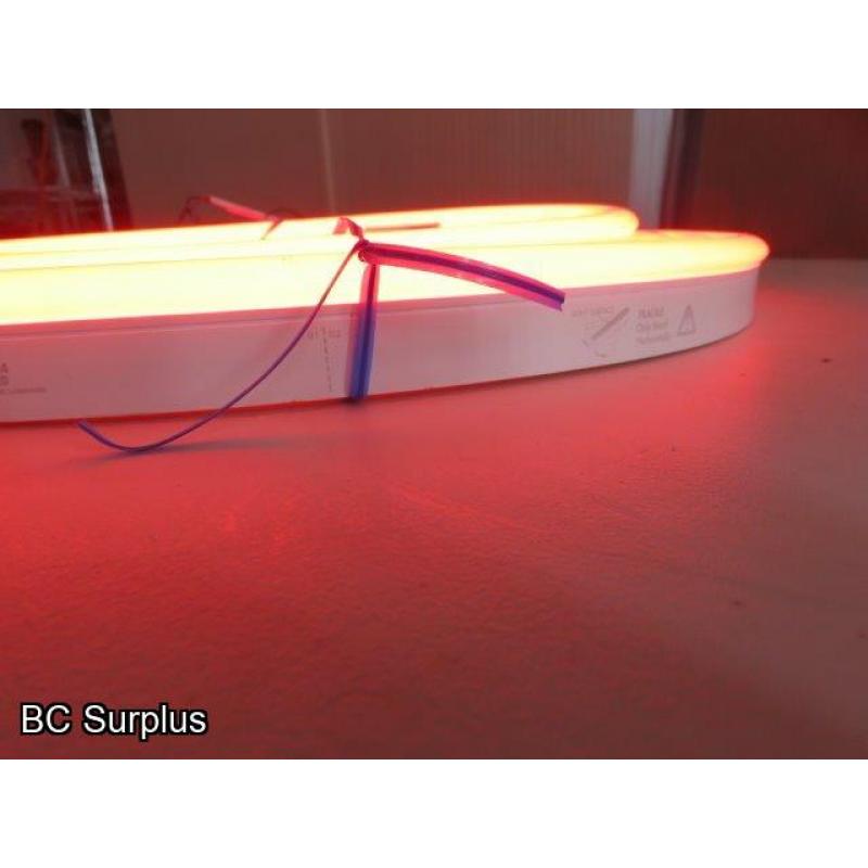 R-621: Red Neon Strip Lights with Power Supply – 21ft