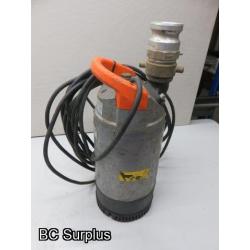 S-262: Goulds Heavy Duty Submersible Pump – 1 HP