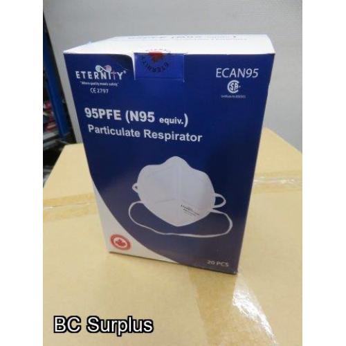 T-287: N95 Particulate Masks – 1 Case